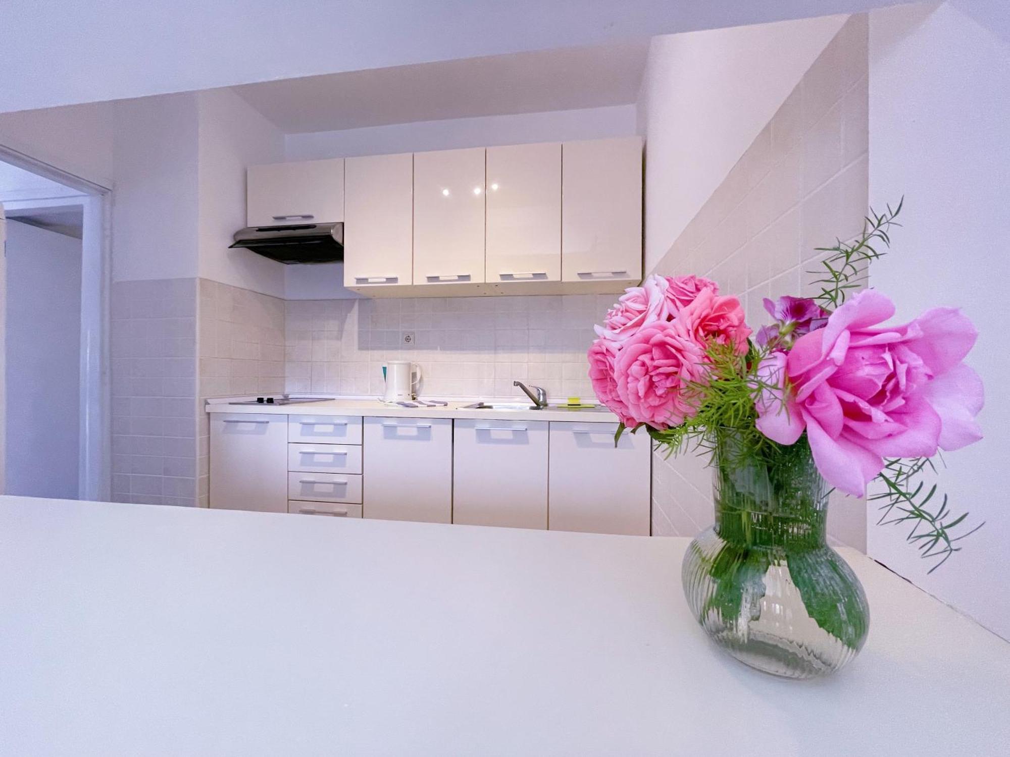 Apartments Villa Marijeta With Free Parking Zaton (Dubrovnik-Neretva) Exterior foto